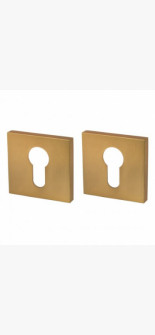 Cover plate Keyed Gold